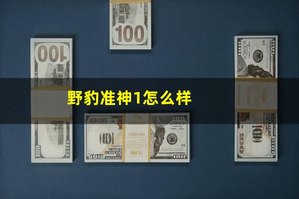 野豹准神1怎么样