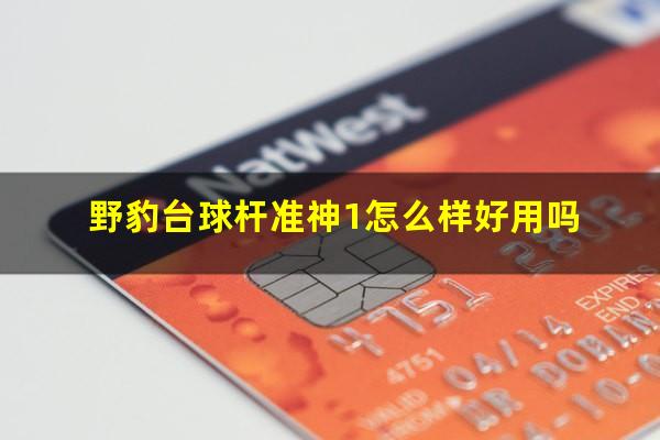 野豹台球杆准神1怎么样好用吗