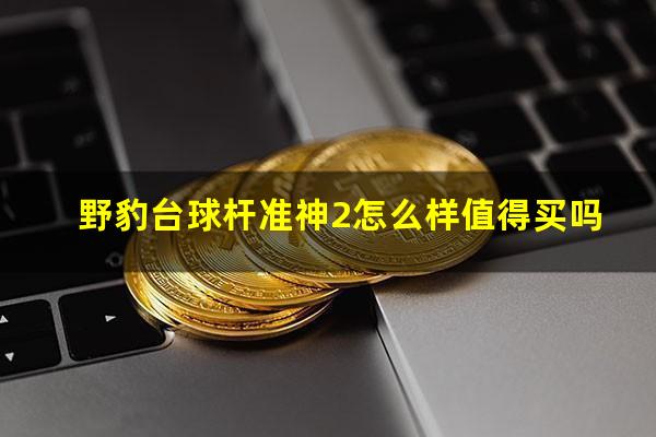 野豹台球杆准神2怎么样值得买吗