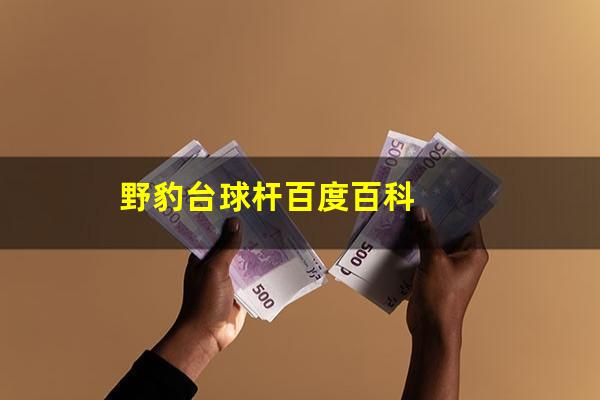 野豹台球杆百度百科