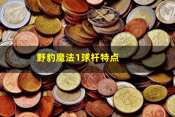 野豹魔法1球杆特点